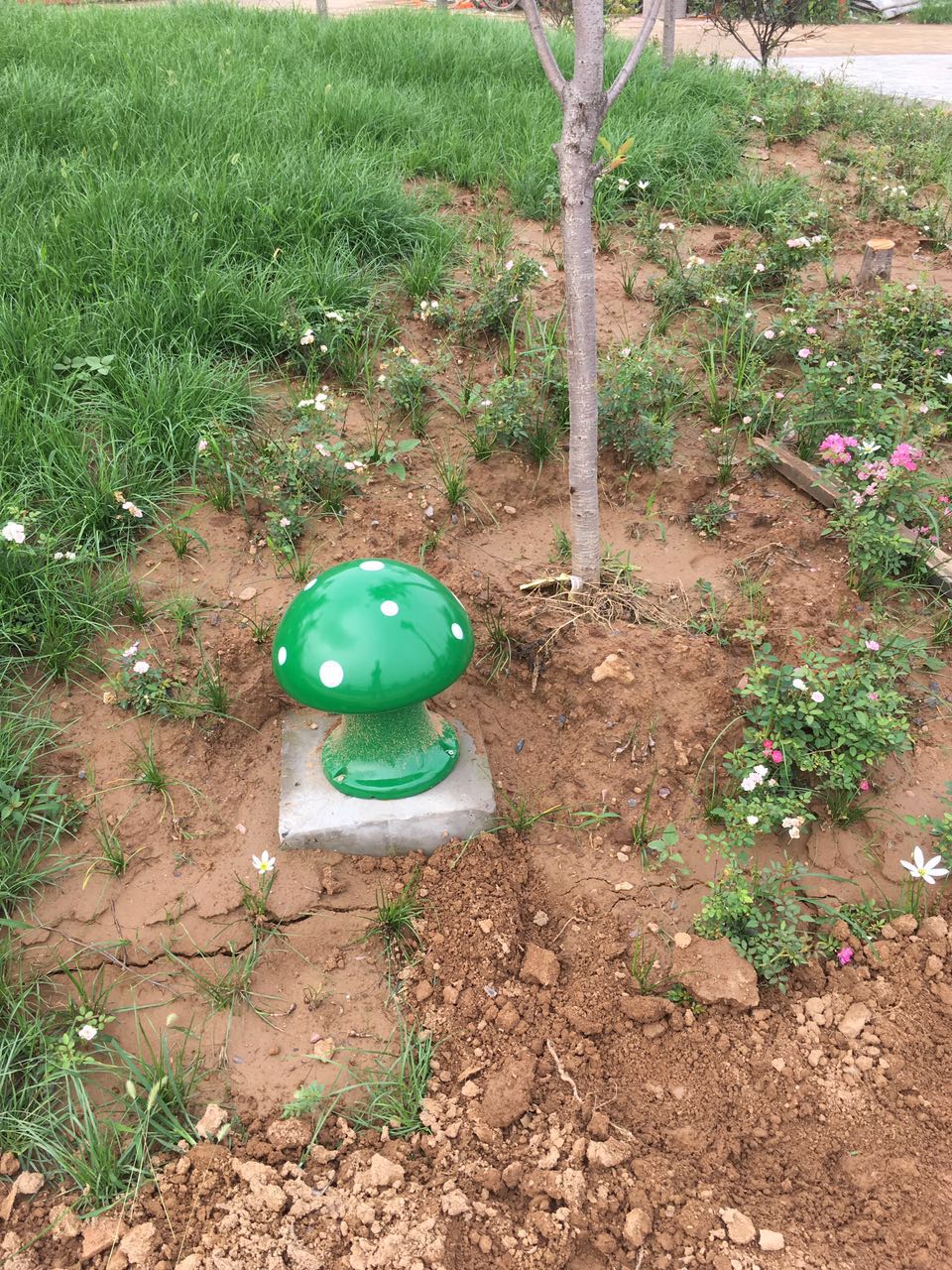 ������Ȧ(�й���)�������ǲ�!