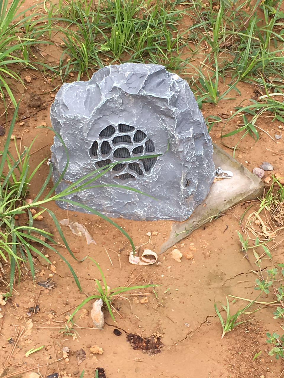 ������Ȧ(�й���)�������ǲ�!